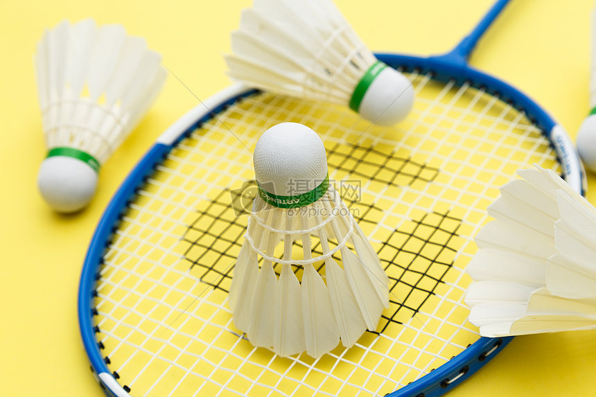 柯林斯等核 柯林斯等核